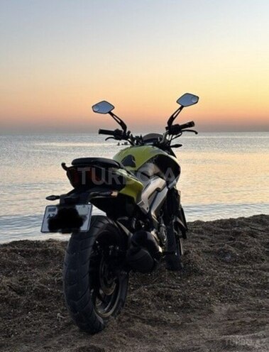 Bajaj Dominar 250 2024, 55,000 km - 0.3 l - Bakı