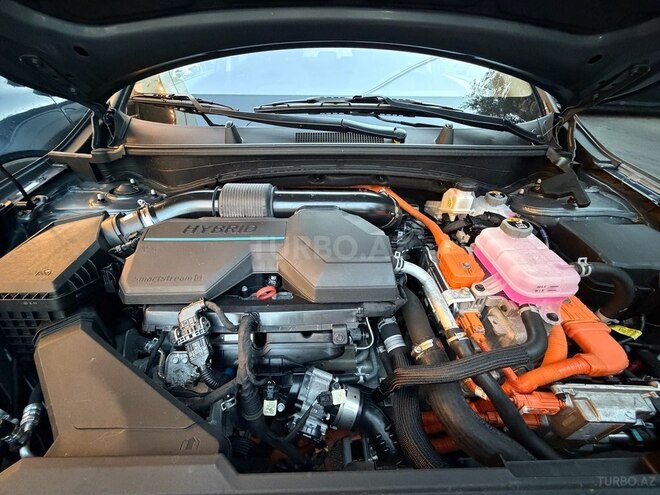Kia Sportage 2023, 31,800 km - 1.6 l - Bakı
