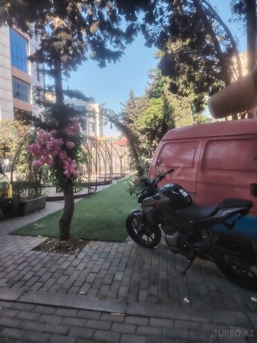 CFMOTO 250 NK 2025, 9,500 km - 0.3 l - Bakı
