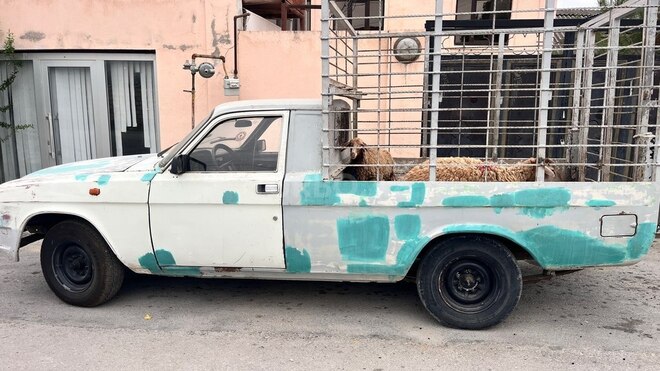 GAZ 31029 1995, 250,000 km - 2.4 l - Şabran