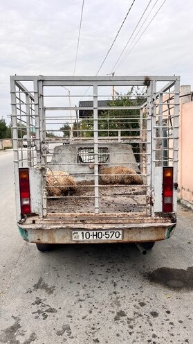 GAZ 31029 1995, 250,000 km - 2.4 l - Şabran