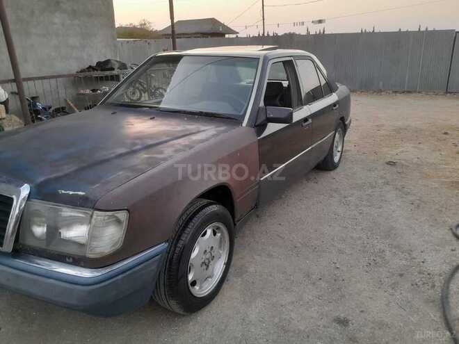 Mercedes 250 D 1991, 528,169 km - 2.5 л - Masallı