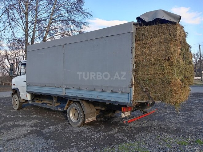 Mercedes Vario 2001, 345,000 km - 4.3 l - Balakən