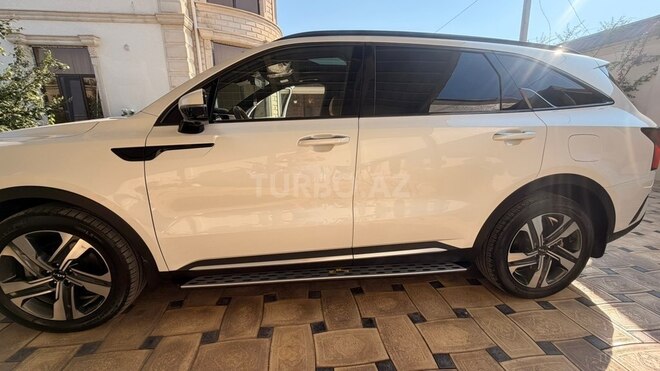 Kia Sorento 2023, 46,000 km - 1.6 l - Gəncə