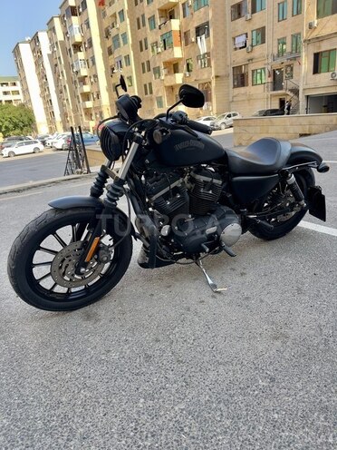 Harley-Davidson XL883N Sportster Iron 883 2014, 13,750 km - 0.9 l - Bakı