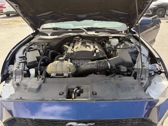 Ford Mustang 2019, 113,443 km - 2.3 л - Bakı