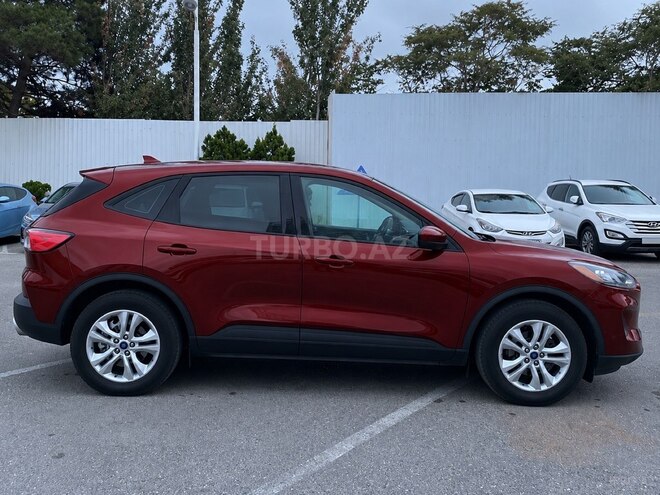 Ford Escape 2020, 295,000 km - 1.5 l - Bakı