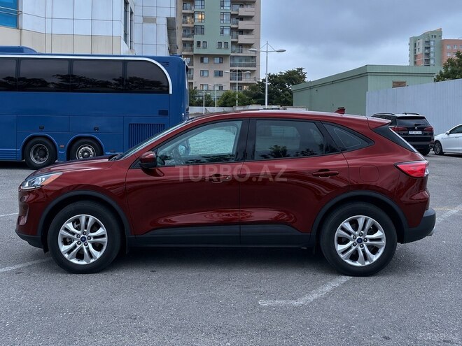 Ford Escape 2020, 295,000 km - 1.5 l - Bakı