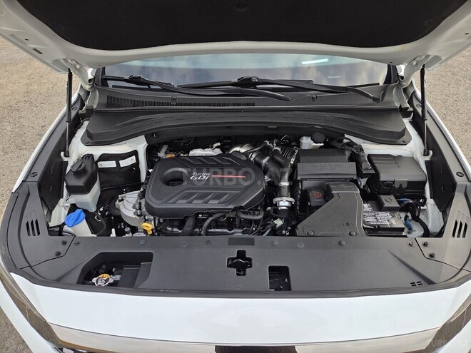 Hyundai Santa Fe 2020, 162,175 km - 2.0 л - Şəmkir