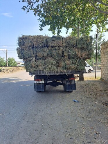 GAZ 53 1994, 257,694 km - 4.3 л - Şəmkir