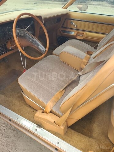 Ford  1978, 37,015 km - 5.8 л - Bakı