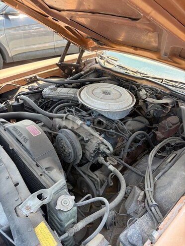 Ford  1978, 37,015 km - 5.8 л - Bakı
