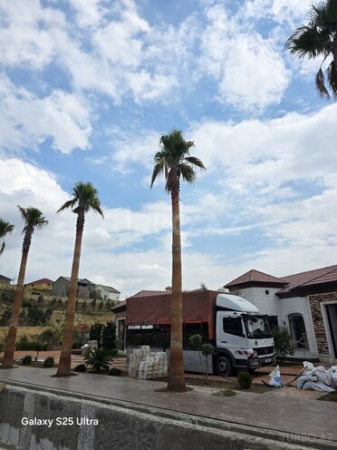 Mercedes Atego 816 2007, 225,742 km - 4.3 л - Bakı