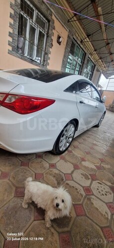 Hyundai Sonata 2010, 284,400 km - 2.4 l - Bakı