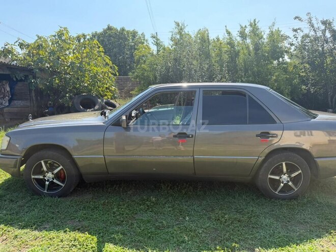 Mercedes 250 D 1988, 300,000 km - 2.5 l - Astara