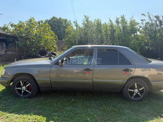 Mercedes 250 D 1988, 300,000 km - 2.5 l - Astara
