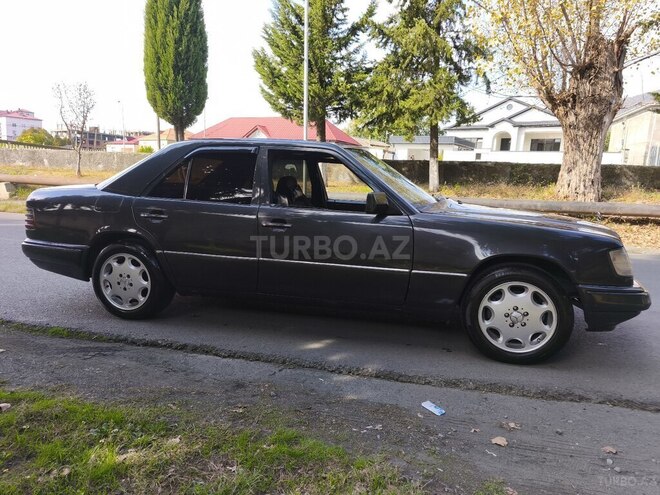 Mercedes 250 D 1993, 502,000 km - 2.5 l - Zaqatala
