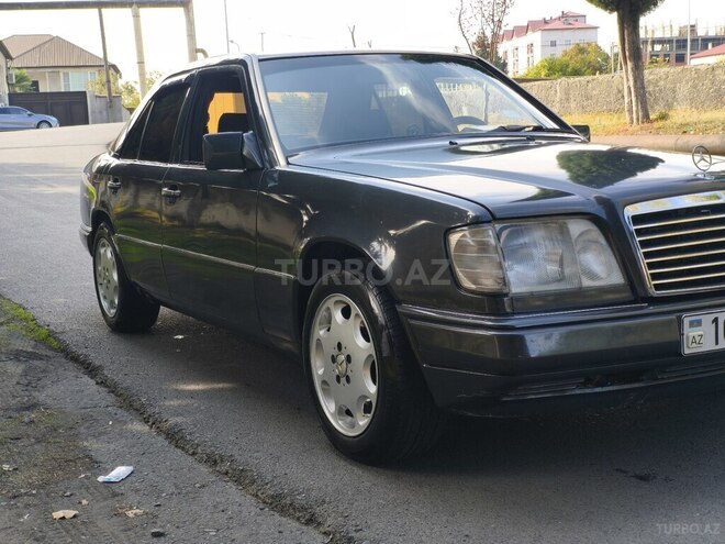 Mercedes 250 D 1993, 502,000 km - 2.5 l - Zaqatala