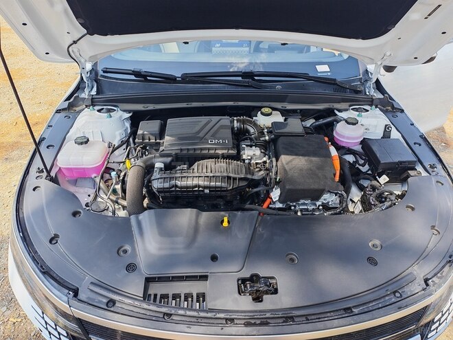 BYD Destroyer 05 2025, 50,000 km - 1.5 l - Salyan