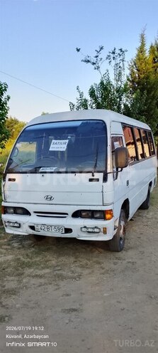 Hyundai  2001, 666,000 km - 3.9 л - Astara