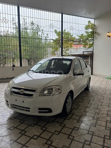 Chevrolet Aveo 2011, 320,850 km - 1.4 l - Gəncə