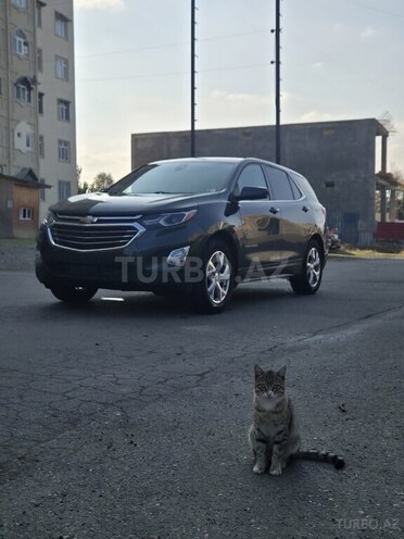 Chevrolet Equinox 2019, 142,500 km - 1.5 л - Gəncə