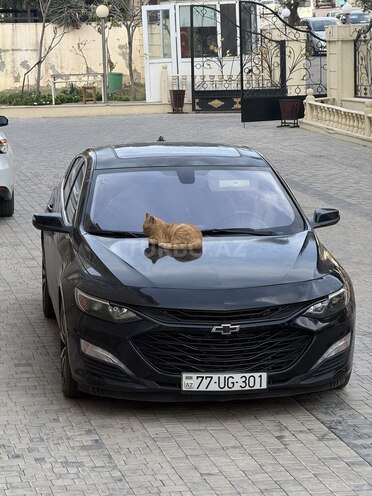Chevrolet Malibu 2016, 137,000 km - 1.5 l - Bakı