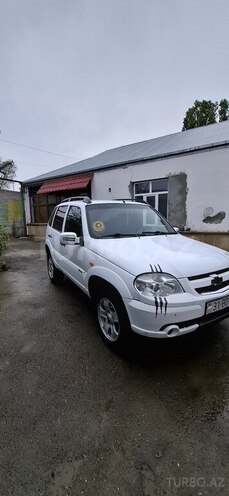 Chevrolet Niva 2010, 252,710 km - 1.7 l - İsmayıllı