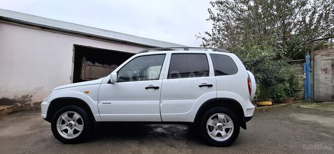 Chevrolet Niva 2010, 252,710 km - 1.7 l - İsmayıllı