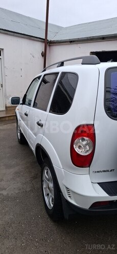 Chevrolet Niva 2010, 252,710 km - 1.7 l - İsmayıllı