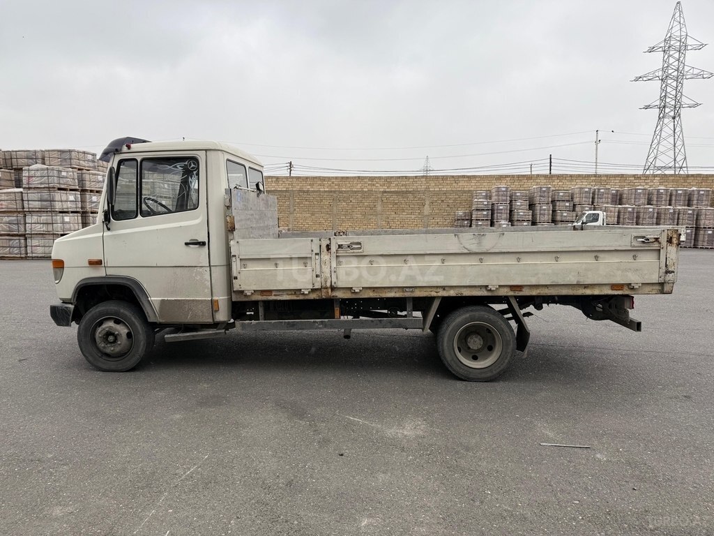 Mercedes Vario