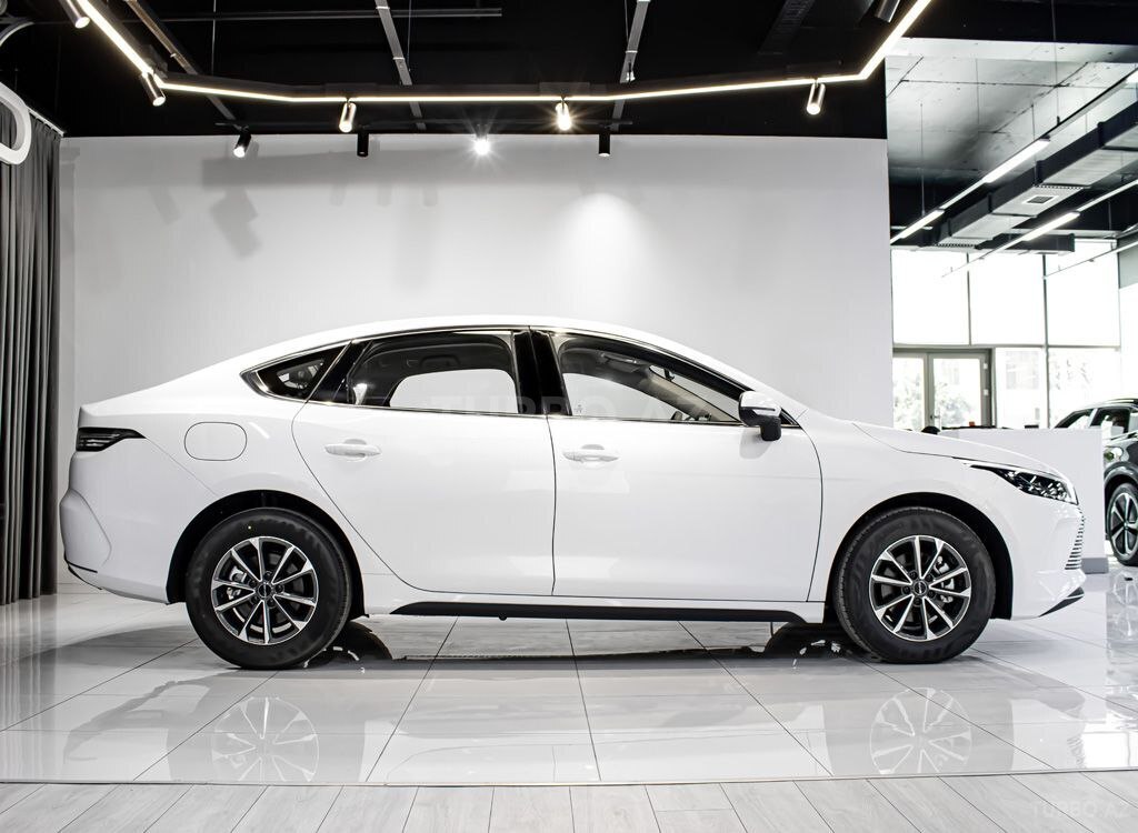 BYD Destroyer 05