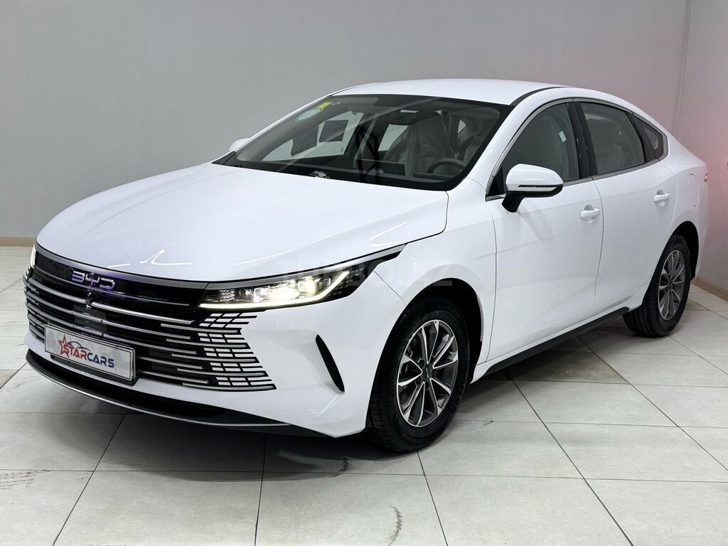 BYD Destroyer 05