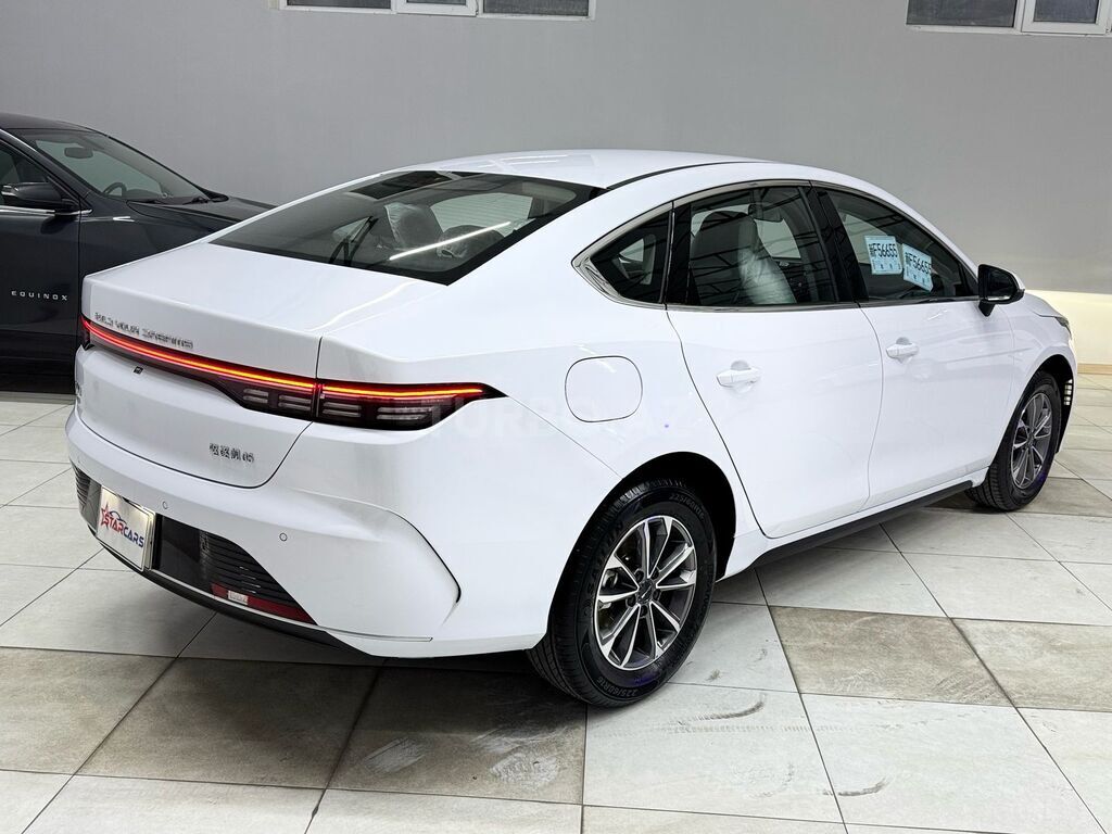 BYD Destroyer 05