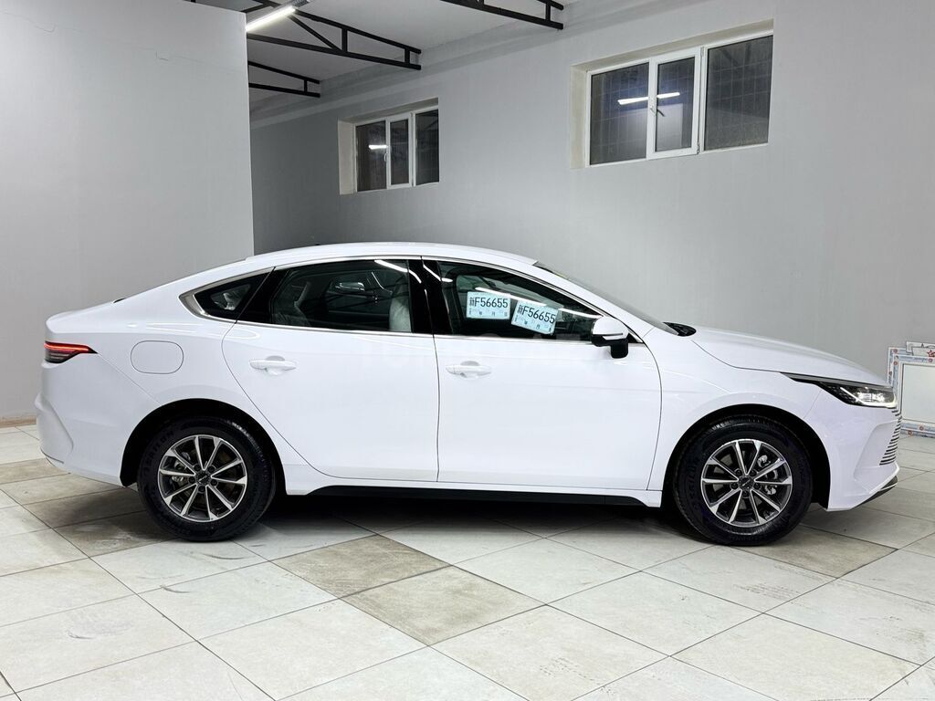 BYD Destroyer 05