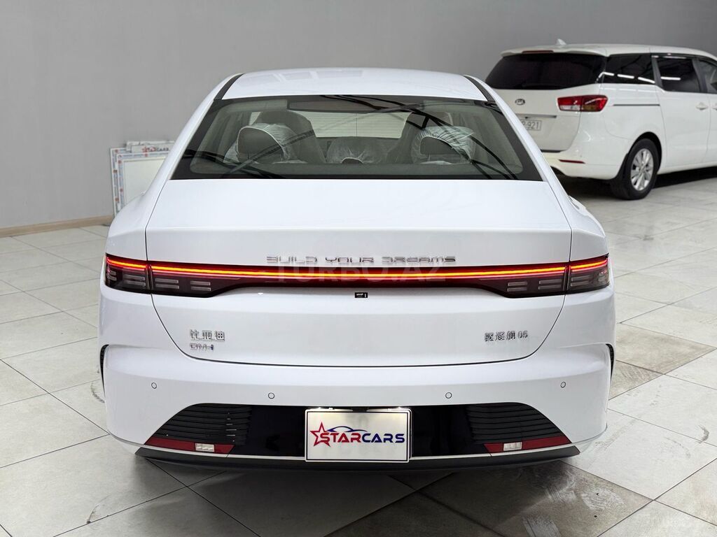 BYD Destroyer 05