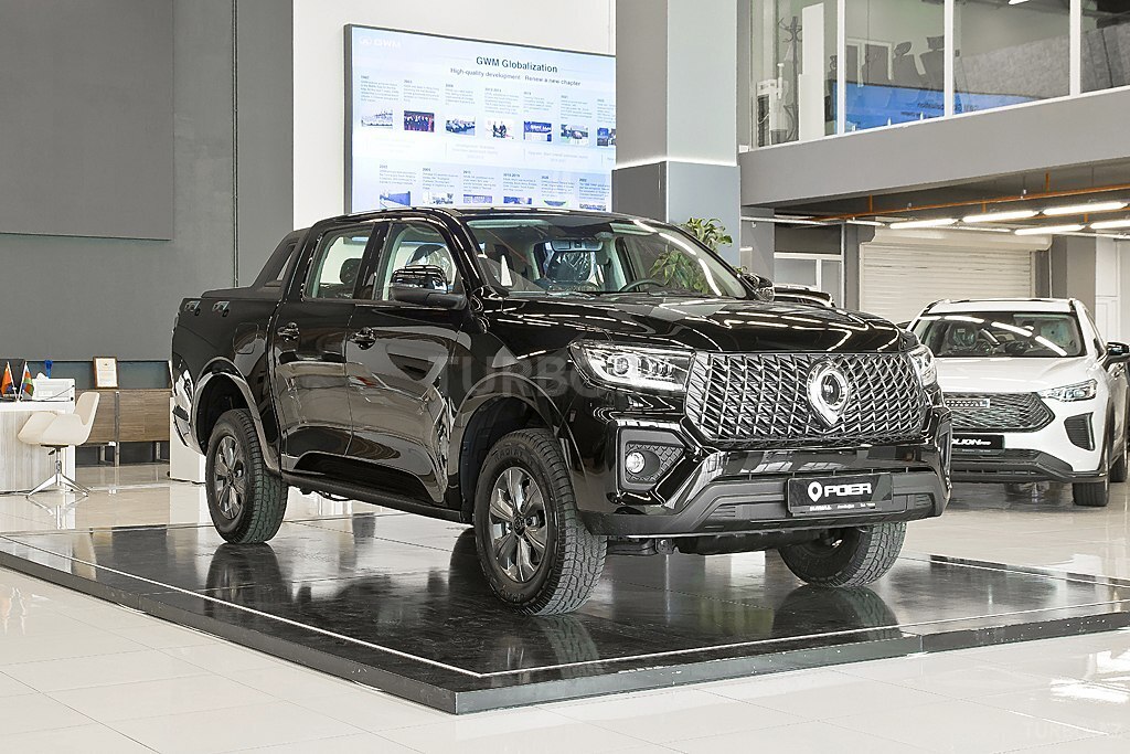 GWM (Great Wall Motor) Poer