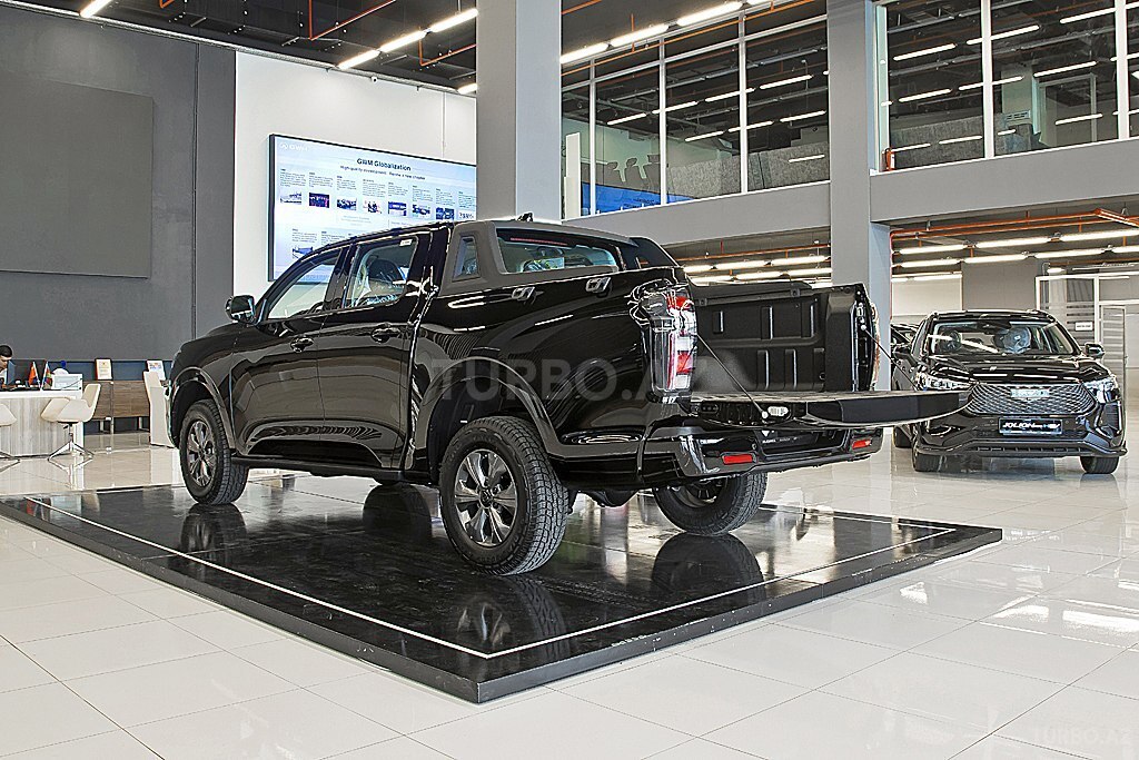 GWM (Great Wall Motor) Poer