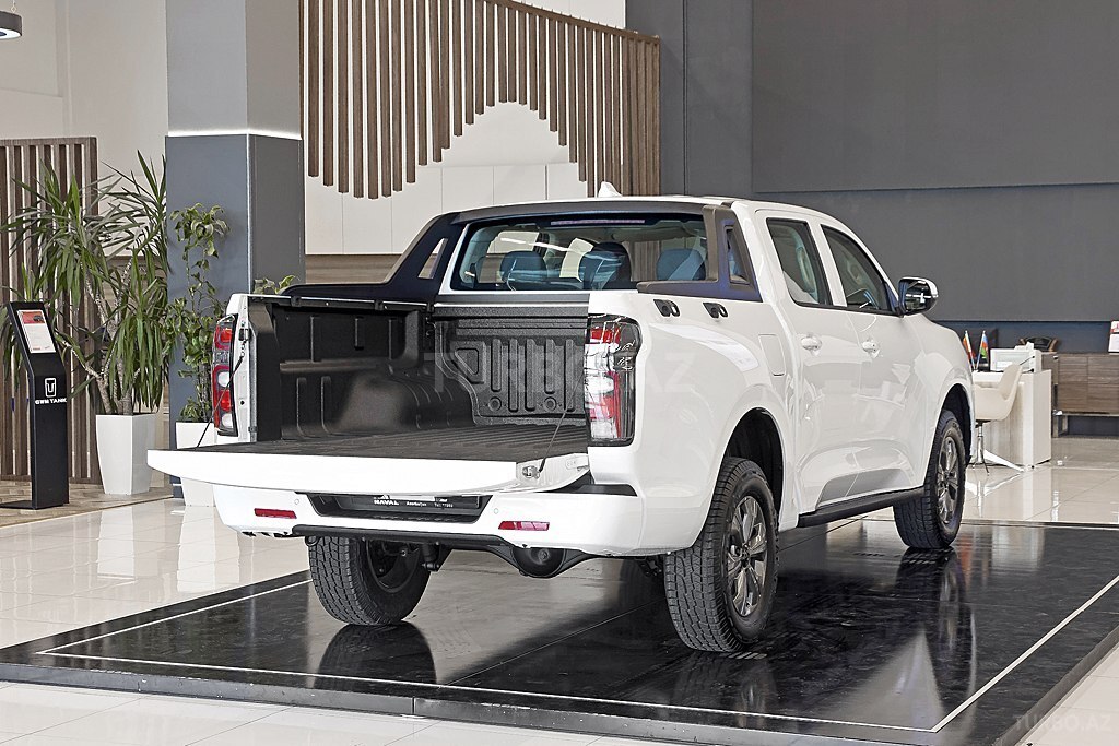 GWM (Great Wall Motor) Poer