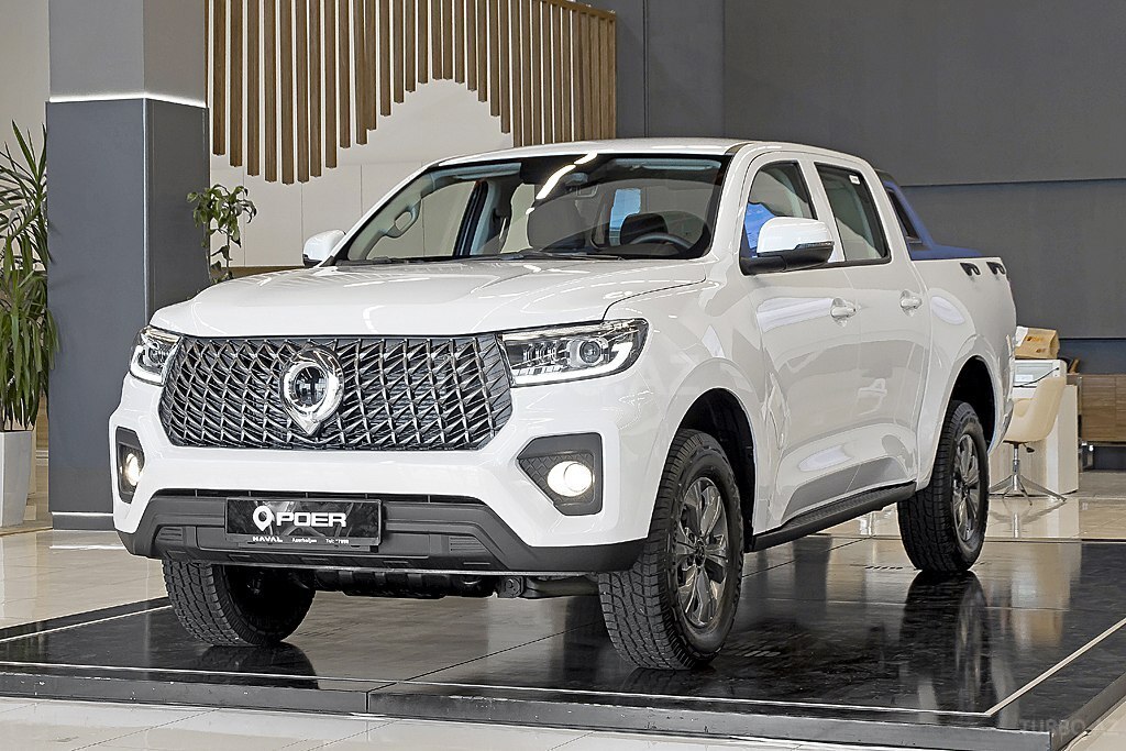 GWM (Great Wall Motor) Poer