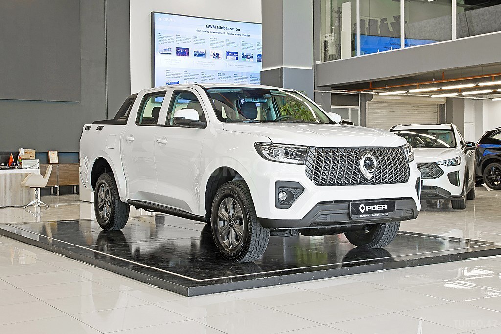 GWM (Great Wall Motor) Poer