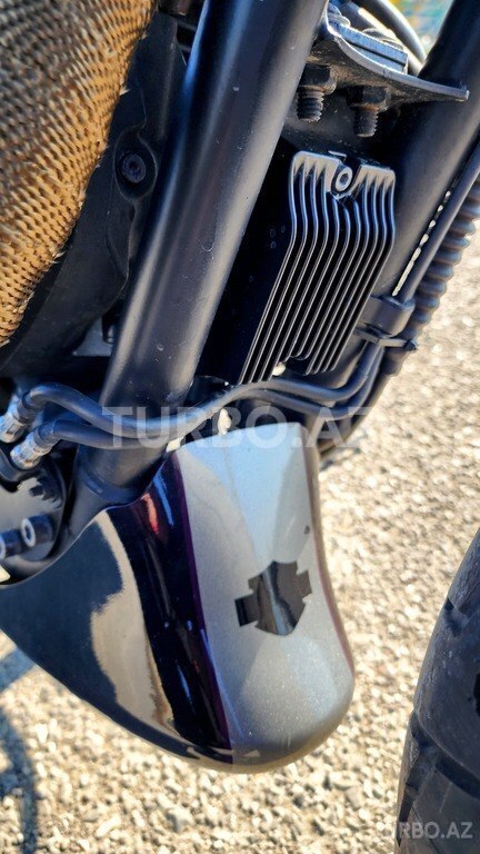 Harley-Davidson Sportster Roadster