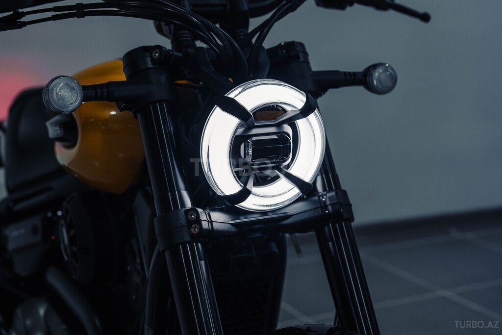 BENDA Chinchilla 350 Neo