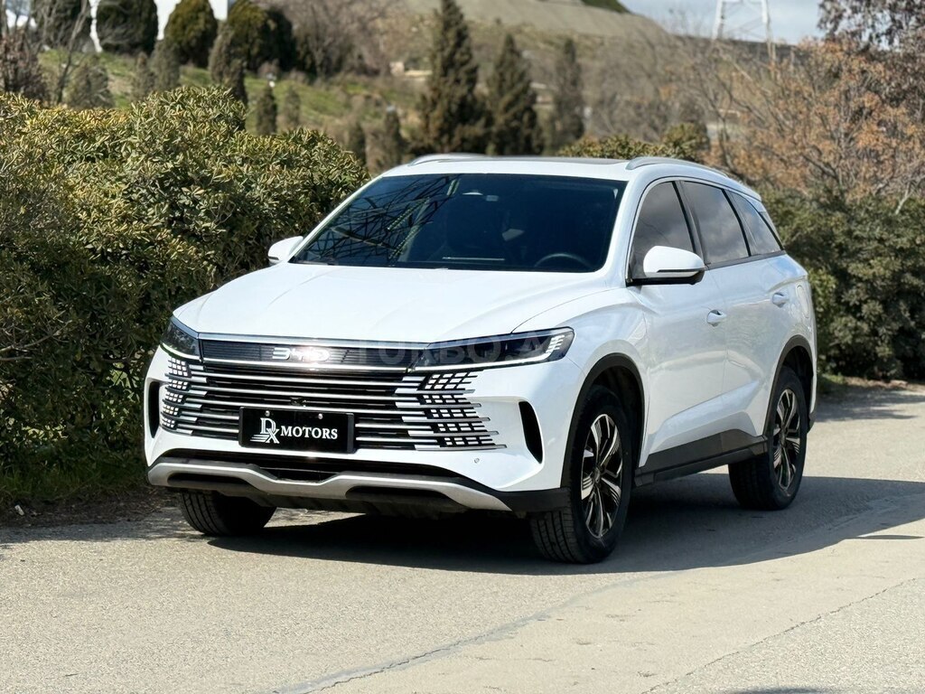 BYD Sea Lion 05