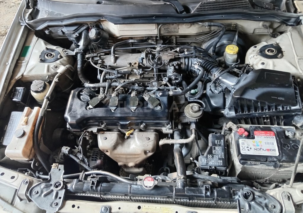 Nissan Sunny