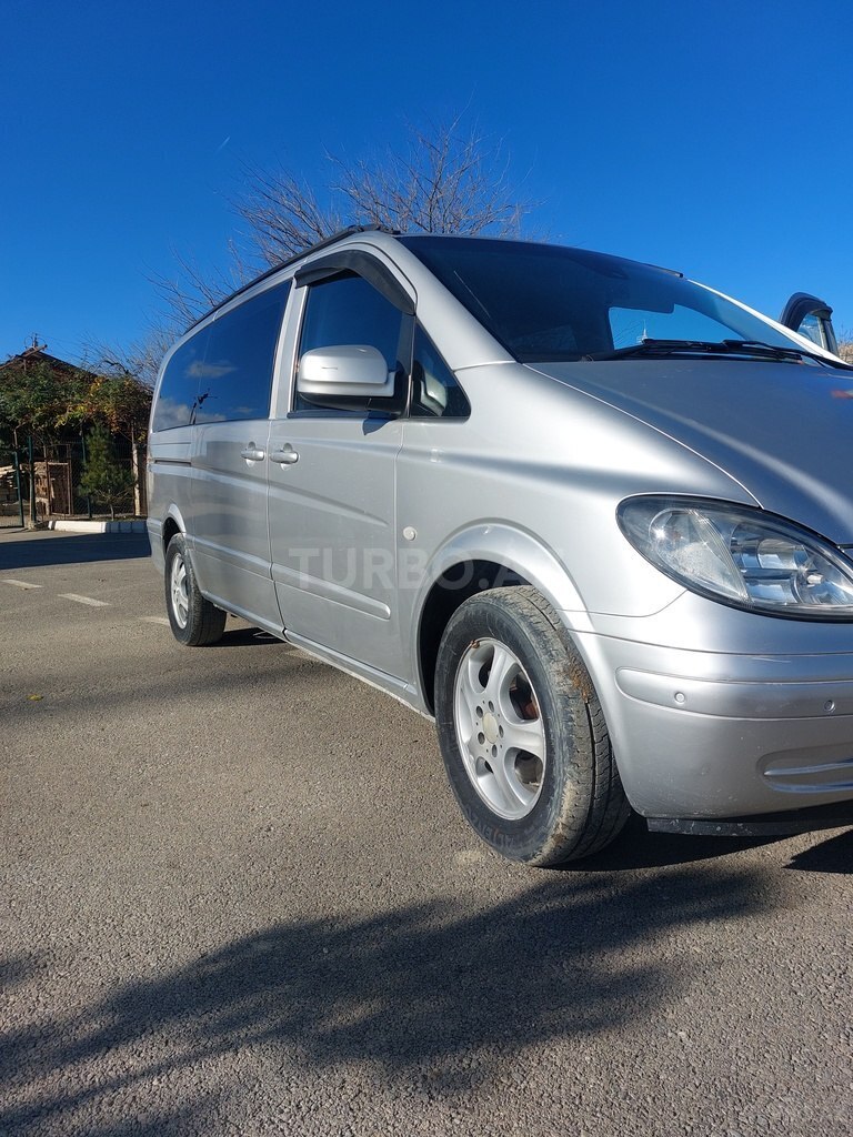 Mercedes Viano