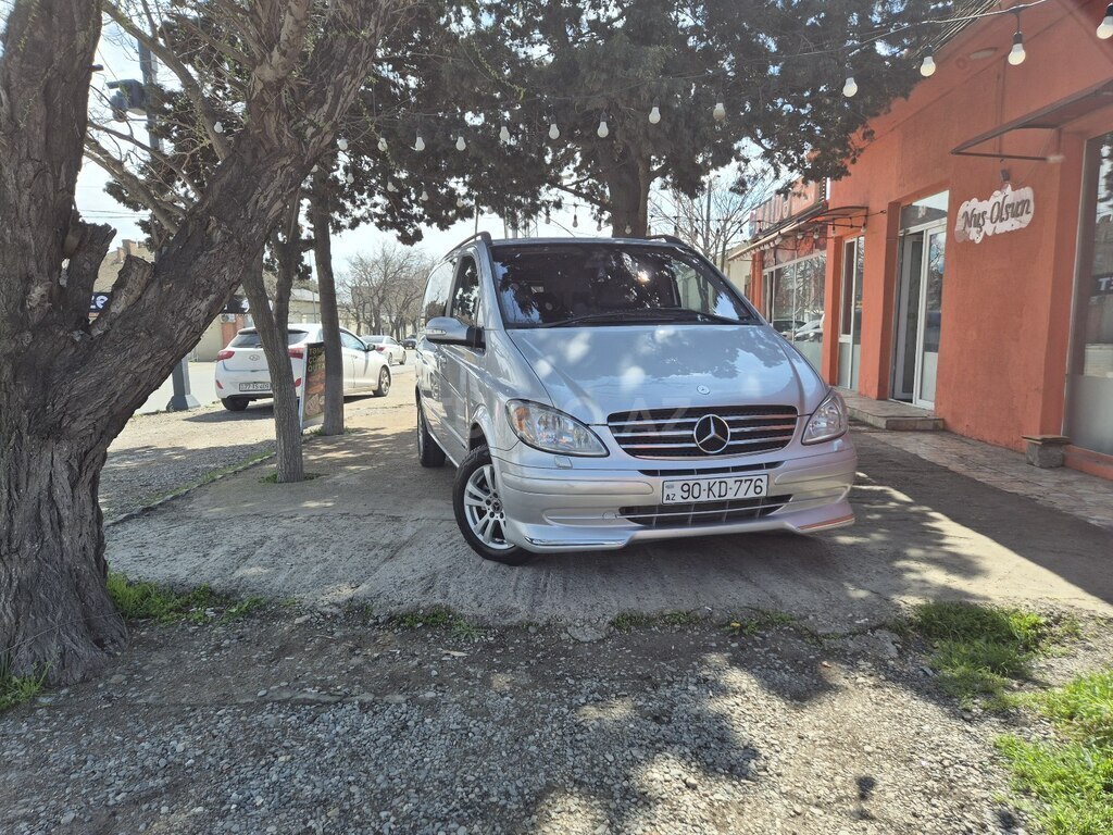 Mercedes Viano