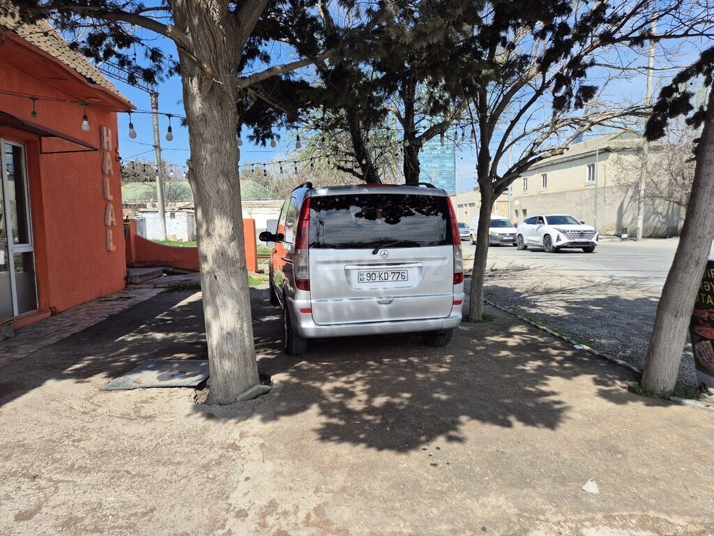 Mercedes Viano