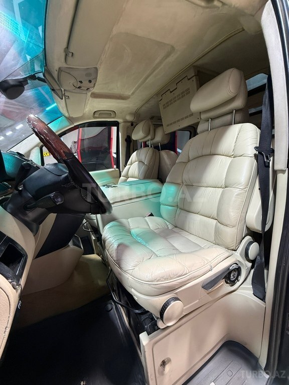 Mercedes Viano