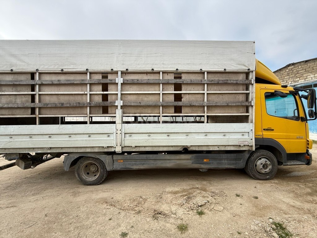 Mercedes Atego 818